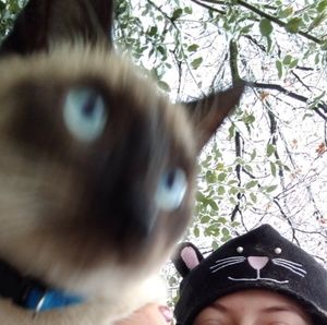 Meet your Posher, Ruby